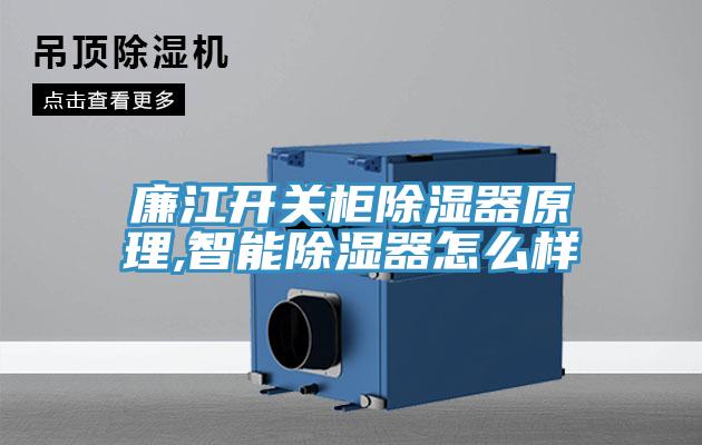 廉江開(kāi)關(guān)柜除濕器原理,智能除濕器怎么樣