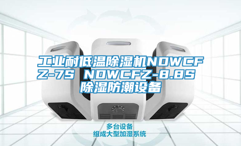 工業(yè)耐低溫除濕機(jī)NDWCFZ-7S NDWCFZ-8.8S 除濕防潮設(shè)備