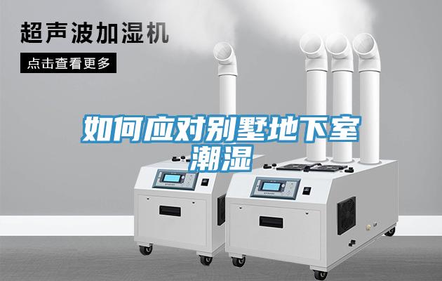 如何應(yīng)對(duì)別墅地下室潮濕