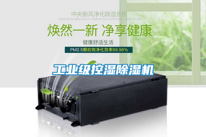 工業(yè)級(jí)控濕除濕機(jī)