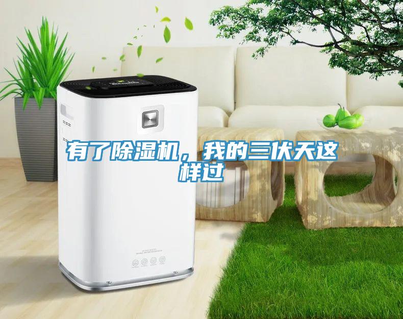 有了除濕機，我的三伏天這樣過
