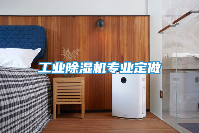 工業(yè)除濕機專業(yè)定做