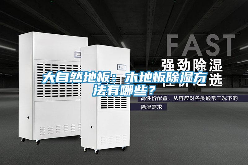 大自然地板：木地板除濕方法有哪些？