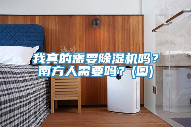 我真的需要除濕機嗎？南方人需要嗎？(圖)