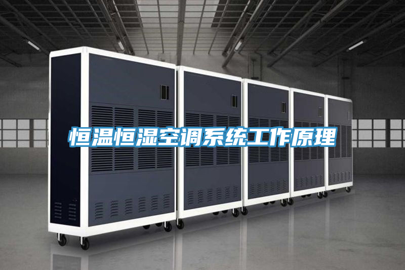 恒溫恒濕空調系統(tǒng)工作原理