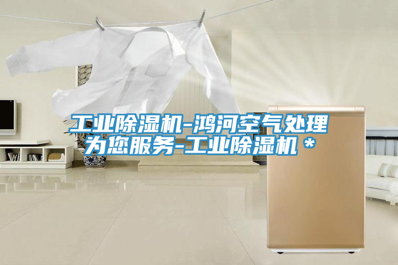 工業(yè)除濕機(jī)-鴻河空氣處理為您服務(wù)-工業(yè)除濕機(jī)＊