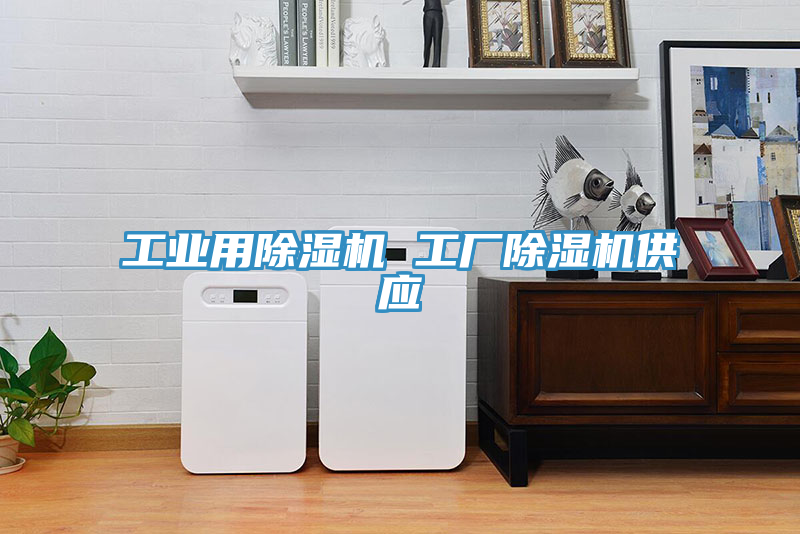 工業(yè)用除濕機 工廠除濕機供應