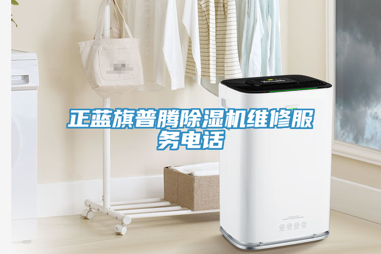 正藍(lán)旗普騰除濕機(jī)維修服務(wù)電話