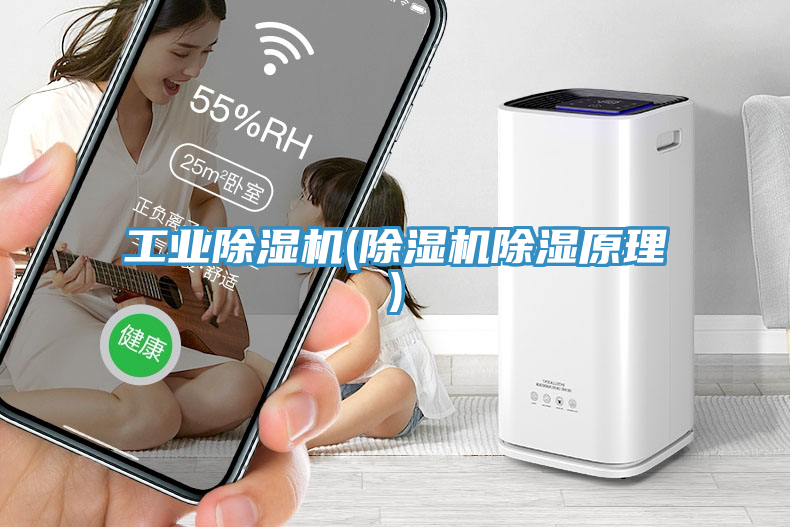 工業(yè)除濕機(除濕機除濕原理)