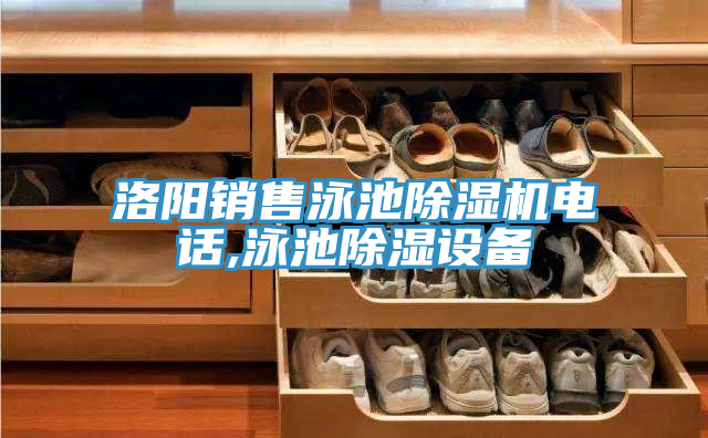 洛陽(yáng)銷售泳池除濕機(jī)電話,泳池除濕設(shè)備