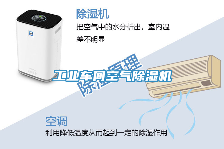 工業(yè)車(chē)間空氣除濕機(jī)