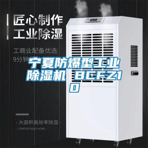 寧夏防爆型工業(yè)除濕機(jī) BCFZ10