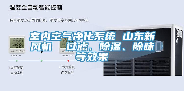 室內(nèi)空氣凈化系統(tǒng) 山東新風(fēng)機(jī)  過濾、除濕、除味等效果