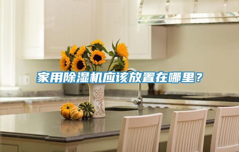 家用除濕機應該放置在哪里？