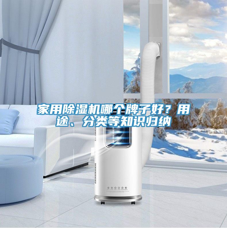 家用除濕機哪個牌子好？用途、分類等知識歸納