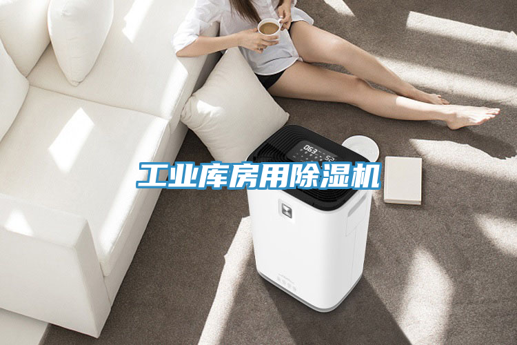工業(yè)庫房用除濕機(jī)