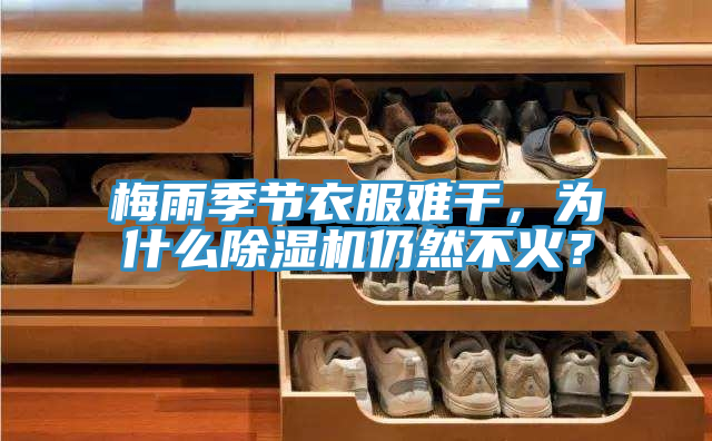 梅雨季節(jié)衣服難干，為什么除濕機(jī)仍然不火？