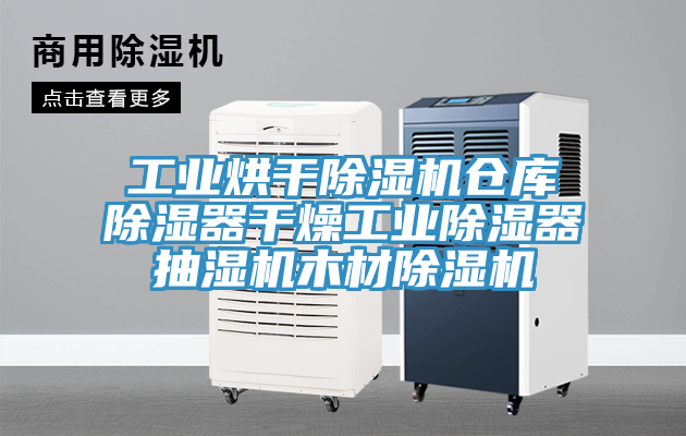 工業(yè)烘干除濕機(jī)倉庫除濕器干燥工業(yè)除濕器抽濕機(jī)木材除濕機(jī)