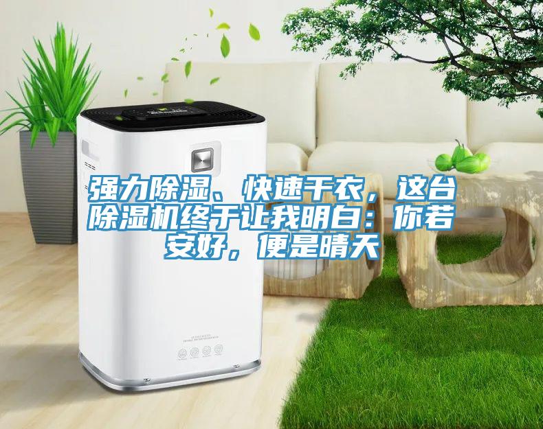 強(qiáng)力除濕、快速干衣，這臺(tái)除濕機(jī)終于讓我明白：你若安好，便是晴天