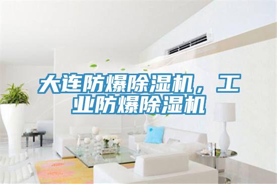 大連防爆除濕機，工業(yè)防爆除濕機
