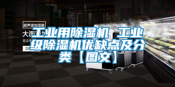 工業(yè)用除濕機 工業(yè)級除濕機優(yōu)缺點及分類【圖文】