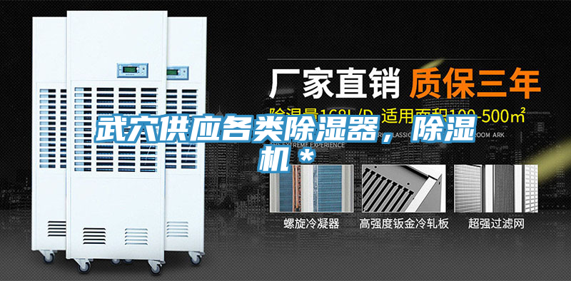 武穴供應(yīng)各類除濕器，除濕機(jī)＊