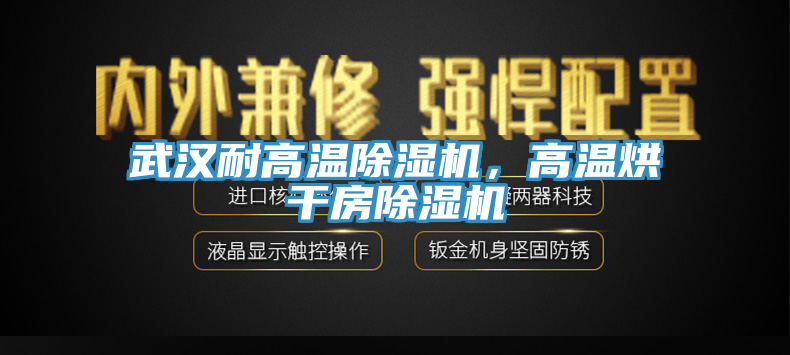武漢耐高溫除濕機(jī)，高溫烘干房除濕機(jī)