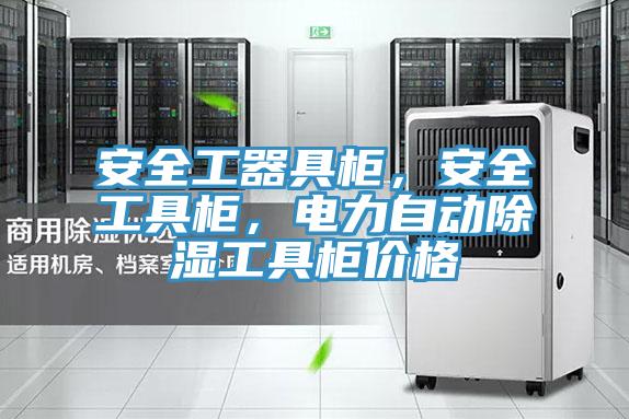 安全工器具柜，安全工具柜，電力自動(dòng)除濕工具柜價(jià)格