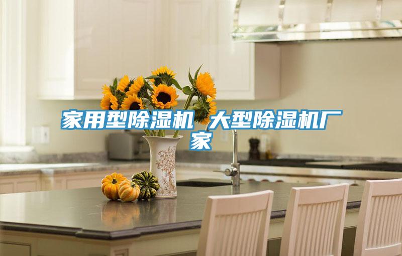 家用型除濕機(jī) 大型除濕機(jī)廠家