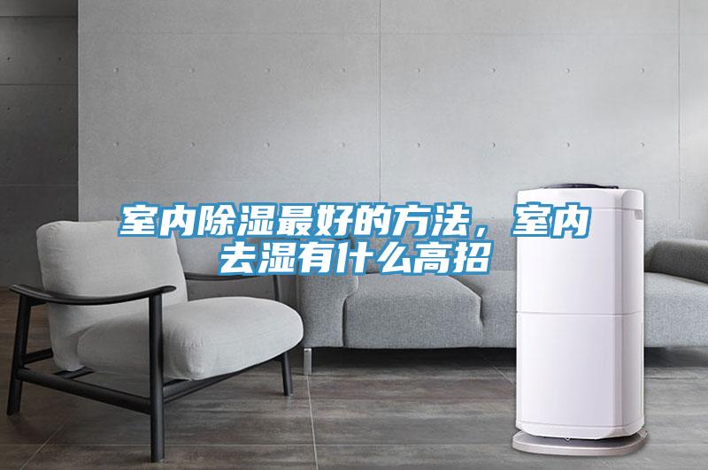 室內(nèi)除濕最好的方法，室內(nèi)去濕有什么高招