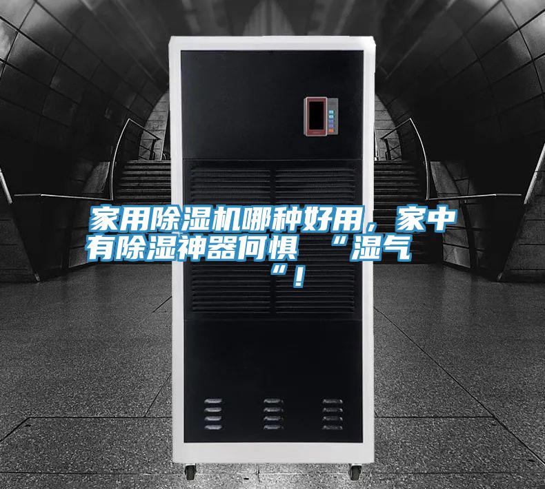 家用除濕機(jī)哪種好用，家中有除濕神器何懼 “濕氣 “！