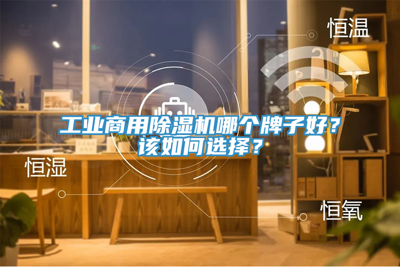 工業(yè)商用除濕機哪個牌子好？該如何選擇？