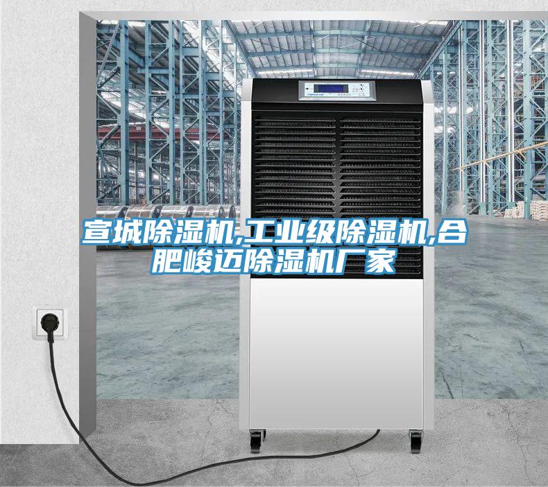 宣城除濕機(jī),工業(yè)級(jí)除濕機(jī),合肥峻邁除濕機(jī)廠家