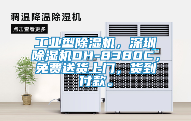 工業(yè)型除濕機(jī)，深圳除濕機(jī)DH-8380C，免費(fèi)送貨上門(mén)，貨到付款。