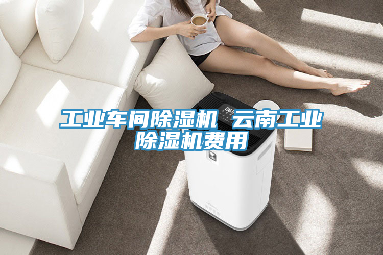 工業(yè)車(chē)間除濕機(jī) 云南工業(yè)除濕機(jī)費(fèi)用