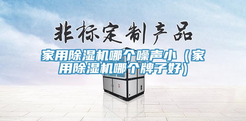 家用除濕機哪個噪聲?。矣贸凉駲C哪個牌子好）