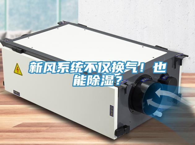 新風(fēng)系統(tǒng)不僅換氣！也能除濕？