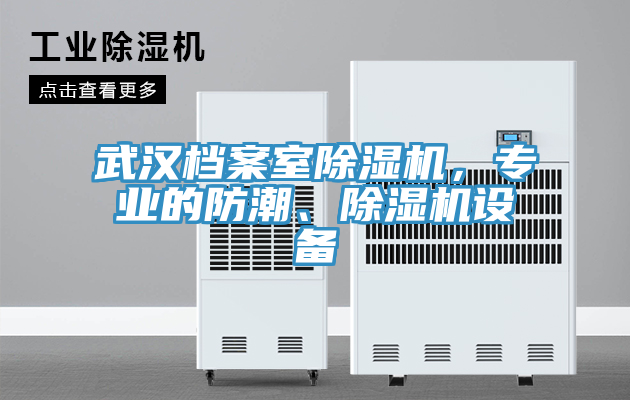 武漢檔案室除濕機(jī)，專業(yè)的防潮、除濕機(jī)設(shè)備