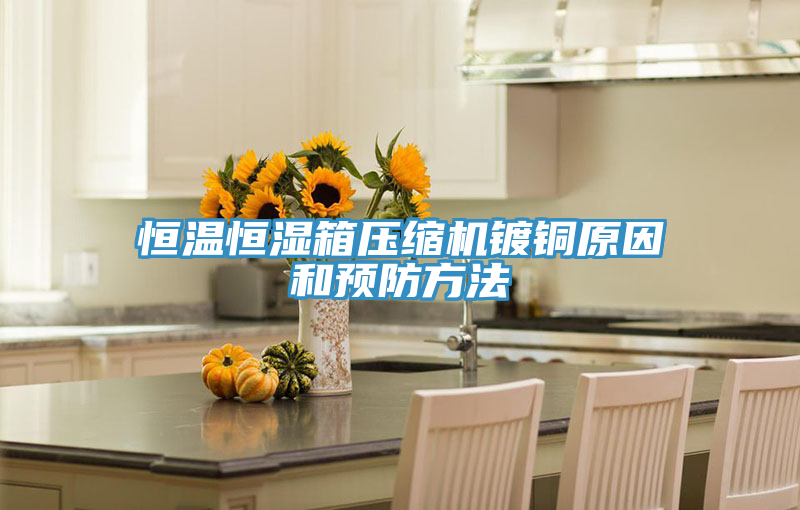 恒溫恒濕箱壓縮機鍍銅原因和預(yù)防方法