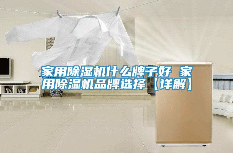 家用除濕機(jī)什么牌子好 家用除濕機(jī)品牌選擇【詳解】
