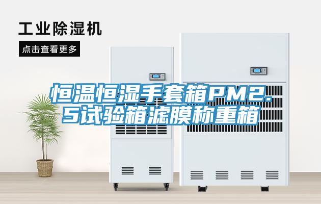 恒溫恒濕手套箱PM2.5試驗(yàn)箱濾膜稱(chēng)重箱