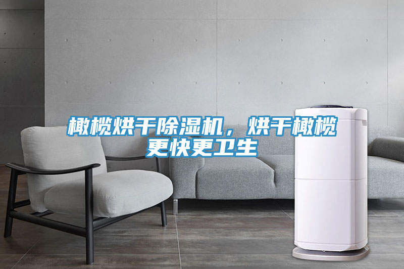 橄欖烘干除濕機(jī)，烘干橄欖更快更衛(wèi)生