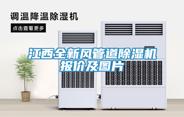 江西全新風(fēng)管道除濕機報價及圖片