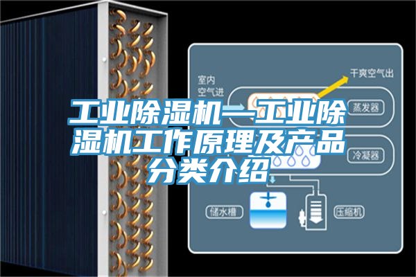 工業(yè)除濕機(jī)—工業(yè)除濕機(jī)工作原理及產(chǎn)品分類介紹