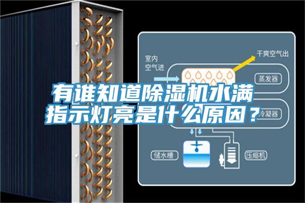 有誰知道除濕機(jī)水滿指示燈亮是什么原因？