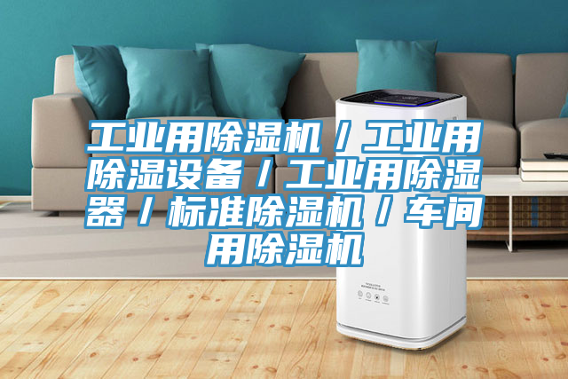 工業(yè)用除濕機(jī)／工業(yè)用除濕設(shè)備／工業(yè)用除濕器／標(biāo)準(zhǔn)除濕機(jī)／車間用除濕機(jī)