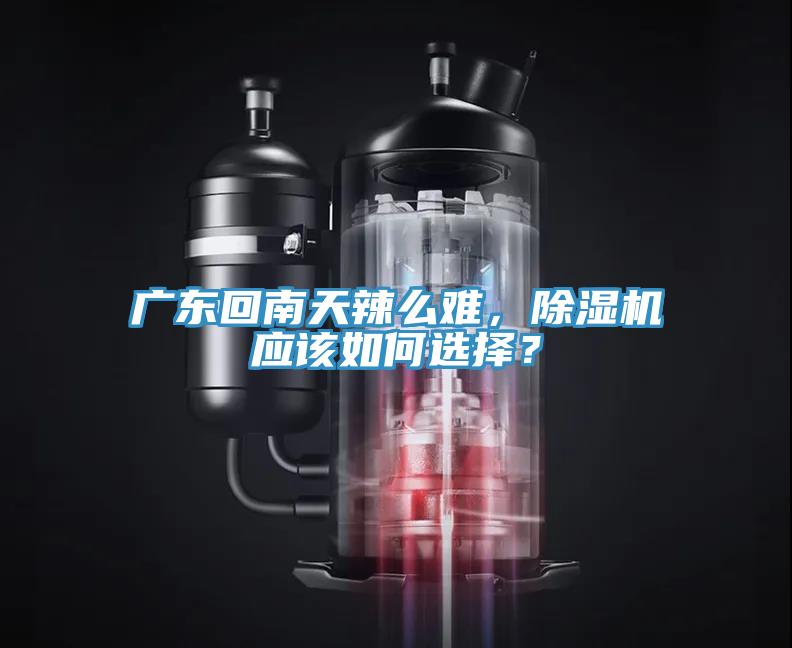廣東回南天辣么難，除濕機(jī)應(yīng)該如何選擇？