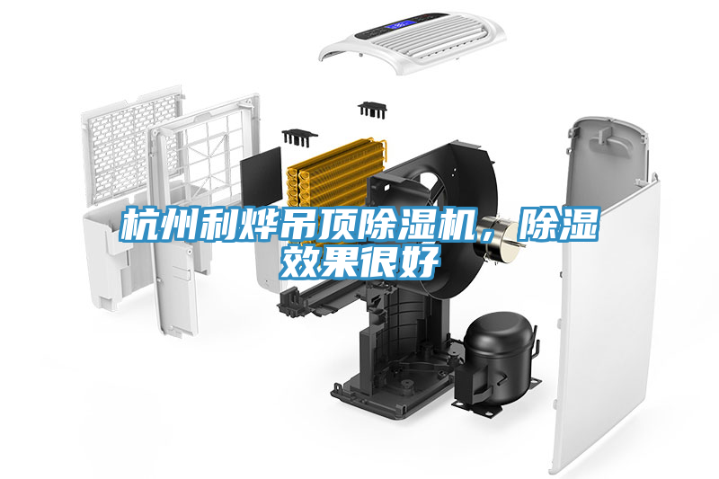 杭州利燁吊頂除濕機(jī)，除濕效果很好