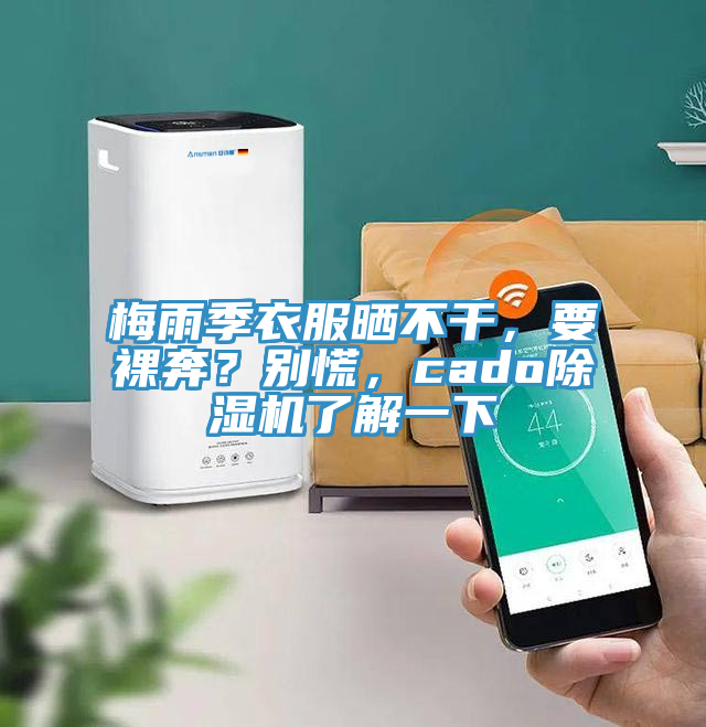 梅雨季衣服曬不干，要裸奔？別慌，cado除濕機(jī)了解一下