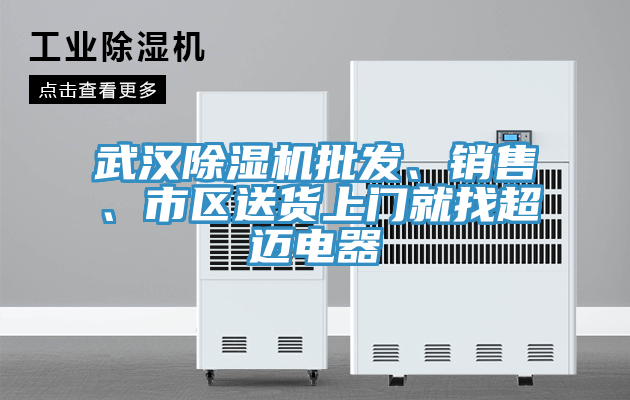 武漢除濕機(jī)批發(fā)、銷售、市區(qū)送貨上門就找超邁電器
